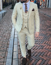 Stylish Beige Suit